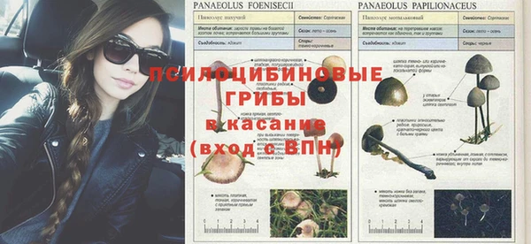 первитин Елабуга
